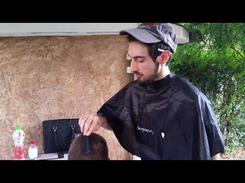 Diverzija Production - Frizer