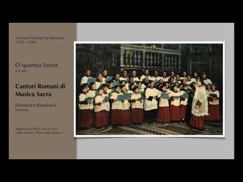 Video thumbnail for O quantus luctus