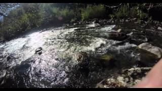 preview picture of video 'rapids on Breitenbush River, 4k'