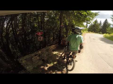 Enduro MTB / Bike Resort Sinaia - Fairy Trail - Sinaia-RO-August 11th 2020