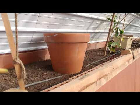 Geothermal passive solar heating system edensorganicroots part 5