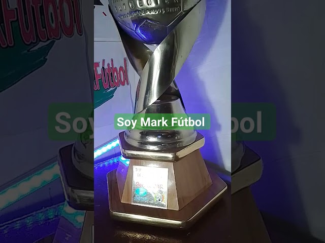 Vídeo relacionado con Fmarche Trofeo de Campeones Fútbol Copa Réplica Trofeo de resina Liga Deportiva Campeones Colección de Recuerdos de Decoraciones para Hogar Oficina Regalos para Fans (16cm)