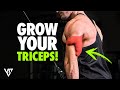 5 Best Tricep Workouts For Bigger Arms