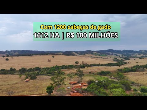 Fazenda 1.612 Ha em Inhumas-GO | Pecuária Leite e Engorda | Porteira Fechada por R$ 100 Milhões