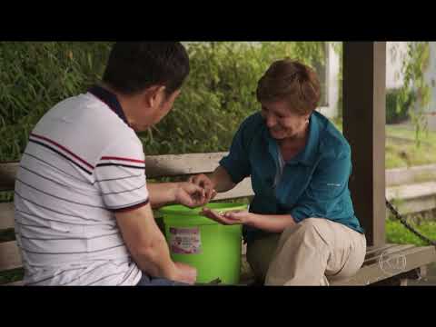 Fantástico - A Jornada da Vida (19/08/18)