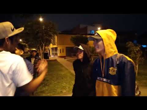 🔴🟡FSN VS DEMENCIA -FINAL - 4X4 TEAM PERU VS TEAM VENEZUELA 👈 2 POKEMONES CADA 1 BATALLO 💣