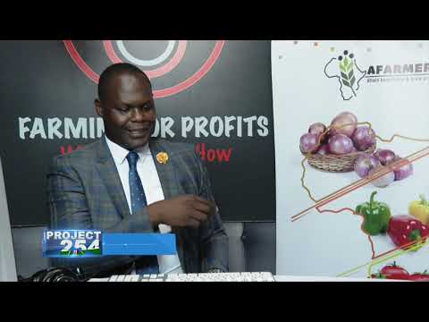 PROJECT 254, Episode 65 - KENYA'S EASE OF DOING BUSINESS