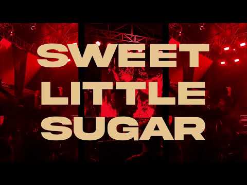 Black Horses - Sweet Little Sugar (Official Lyric Video)