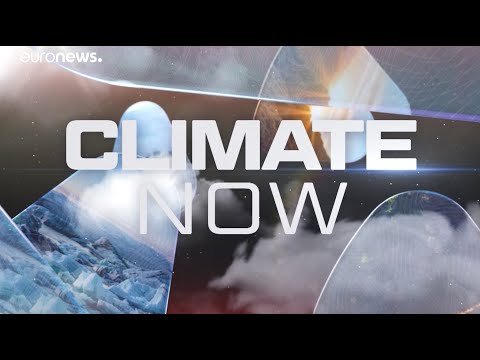 Climate Now by Copernicus - June 2023