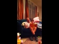 Grandpa Reads Elmo