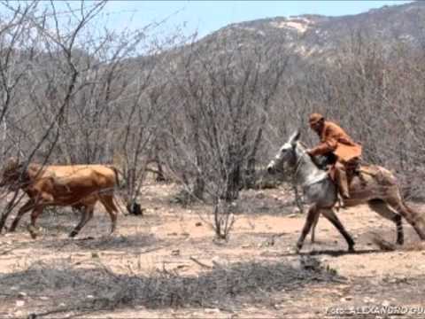 Amado Edilsom   Ja Terminei Meus Estudos