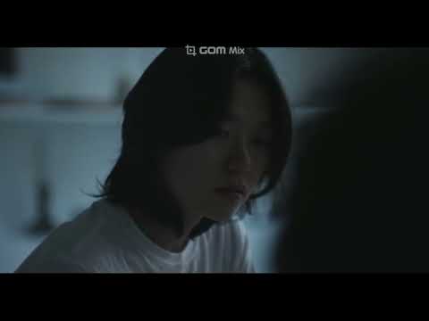 비디오 5