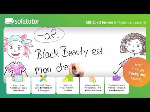 Substantive – grammatisches Geschlecht einfach erklärt – Franzoesisch