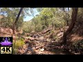 AUSTRALIAN OUTBACK BUSH SOUNDS Flowing Creek And Bird Sounds Sounds Of Crickets And Birds