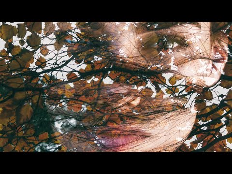 Die erste Schöpfungserzählung (1. Mose 1,1-2,4a) – Teil 3 | 8.5.2