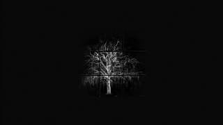 Fat Freddy's drop - Willow Tree (live)