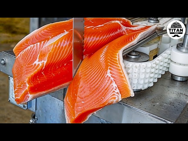 Mind-blowing Machines Operating At An Insane Level | The Most Satisfying Factory Tech! #13 SDDEFAULT Thumbnail