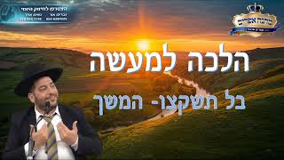 הלכה למעשה- בל תשקצו המשך- הרב אפרים שרבני (הרב אפרים שרבני) - התמונה מוצגת ישירות מתוך אתר האינטרנט יוטיוב. זכויות היוצרים בתמונה שייכות ליוצרה. קישור קרדיט למקור התוכן נמצא בתוך דף הסרטון