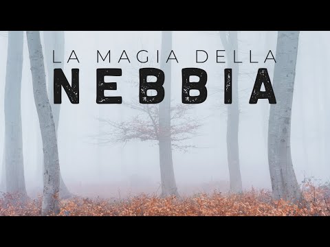 FOTOGRAFARE con la NEBBIA - TECNICHE e CONSIGLI
