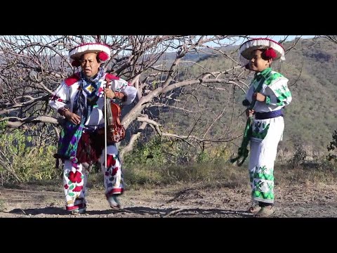 El Venado Azul - El Diluvio [Video Oficial]