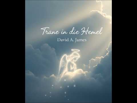 Trane in die Hemel- David A.James 