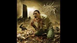 CATTLE DECAPITATION  -  Your Disposal