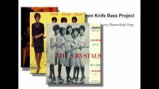 Shonen Knife Bass Project - Get The Wow - Lesson