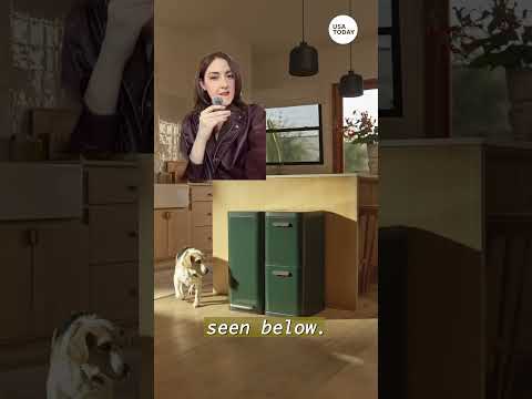 Caraway's new trash bins cost HOW much?