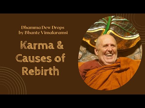 Dhamma Dew Drops: Karma and Causes of Rebirth | ft. Bhante Vimalaramsi