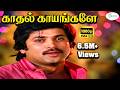 Kadhal Kayangale Neengal காதல் காயங்களே K J Yesudas Malaysia Vasudevan Lov