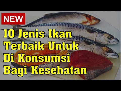 , title : '10 Jenis Ikan Terbaik Untuk Di Konsumsi Bagi Kesehatan'