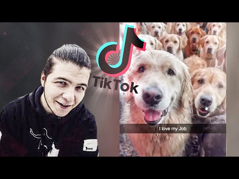 THOREK ogląda TikToki #3