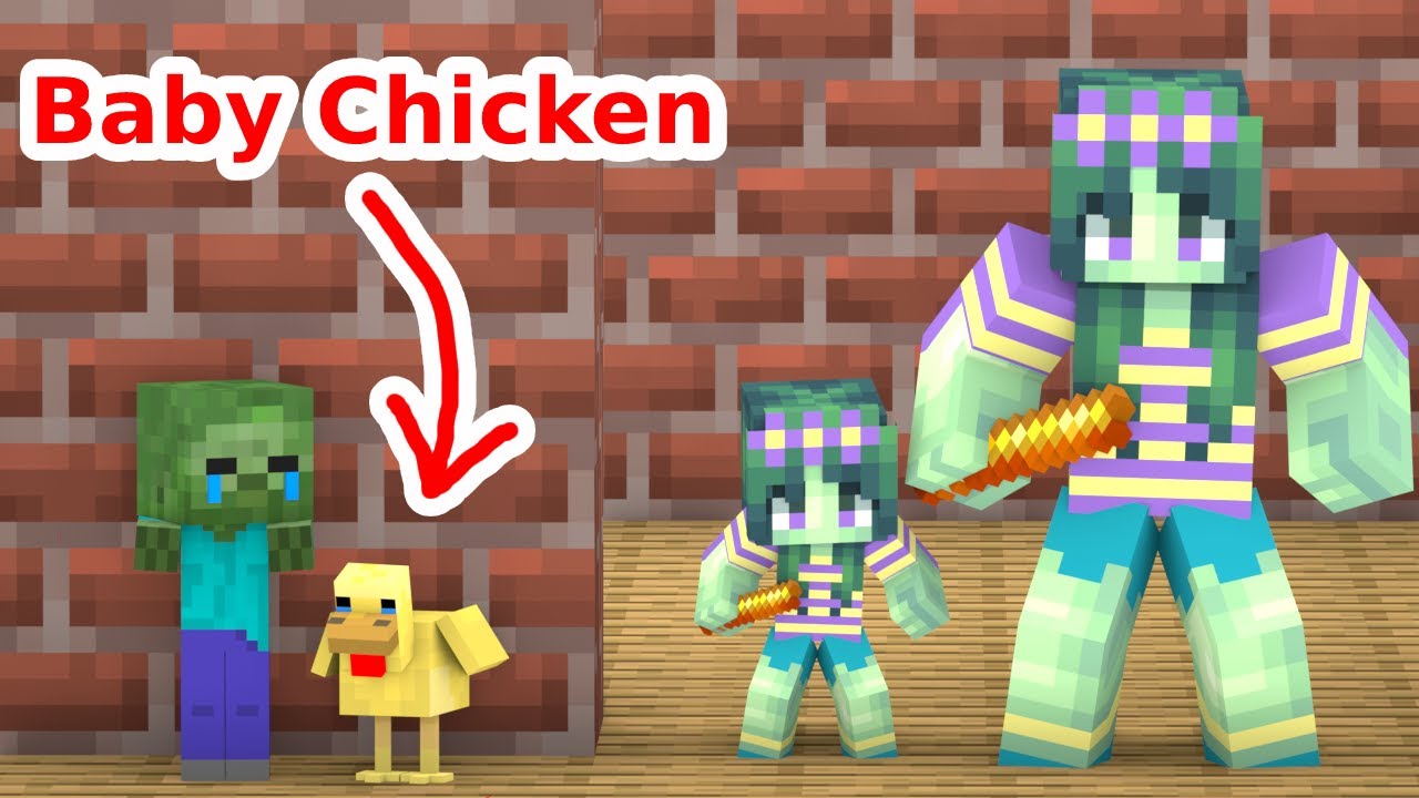 Monster School : Poor Chicken and Baby Zombie - Sad Story - Minecraft Animation
