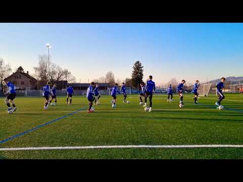 FC Luzern Nord FE-14 (U-14) Techniktraining - Coerver Level 2