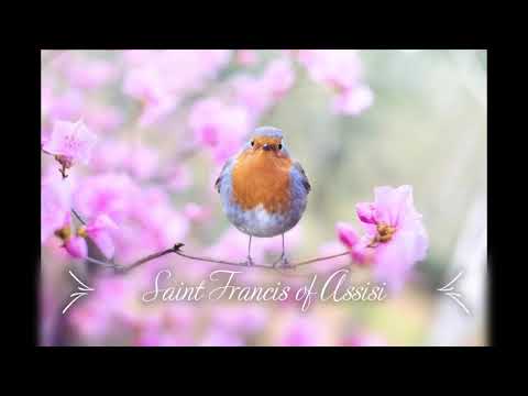 Saint Francis of Assisi - Selected Teachings and Prayers for Meditation - Christian Mystics