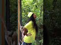 Nandini Ninna Tulucomedy Romantic Song