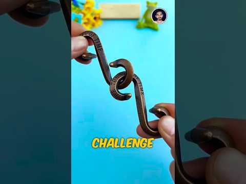 Tunnel of Time Puzzle 😵‍💫 #shorts #puzzle