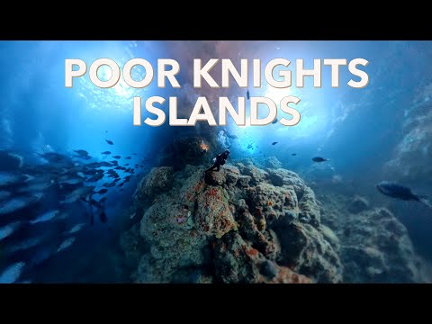 Poor Knights Islands Scuba Dive