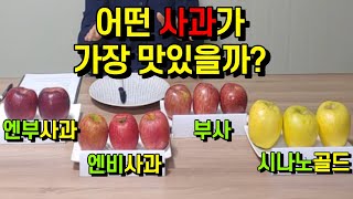 과일리뷰 사과편 - 엔부사과 엔비사과 시나노골드 부사