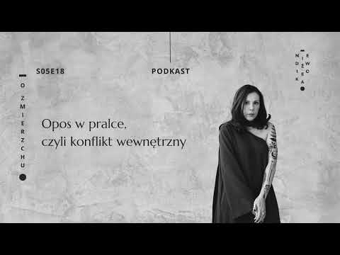 S05E18 Opos w pralce, czyli konflikt wewnętrzny - O Zmierzchu