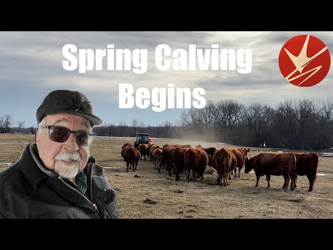 Farming is dangerous, when you don't know who the mama is