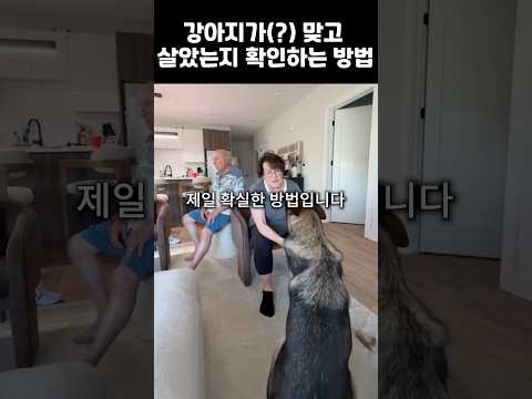 강아지(?)가 맞고 살았는지 확인하는 방법