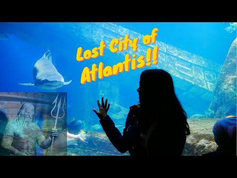 Lost City of Atlantis Long Island Aquarium