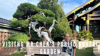 Visiting Mr Chens Bonsai Garden