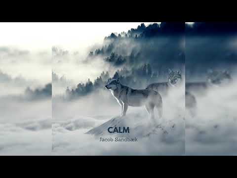 Jacob Sandbæk - Calm (Official Audio)