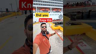 How big is cruise ship 🛳️😳 #ship #cruiseship #cruise #cruiselife #shorts #viralshort #sailingtwins