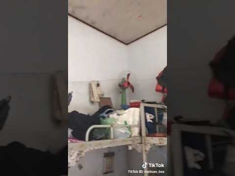 Video quay ở bãi rác không phải ở KTX đâu mọi người đừng hiểu nhầm.