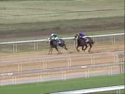 Bellotto Flash - Vaal Sand 1200m