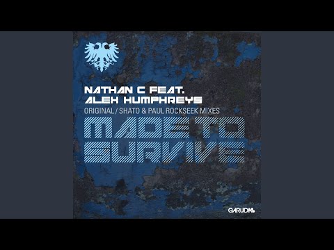 Made To Survive (Original Mix)