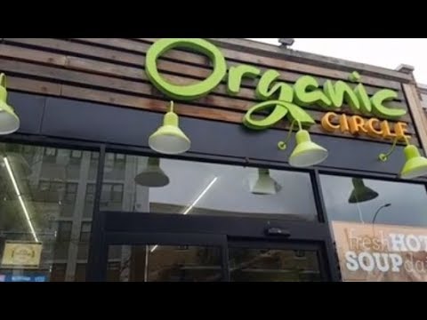 Organic Circle interview with Elan Kornblum